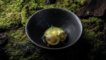A black bowl with a green salad on a mossy surface.