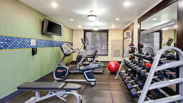 A gym with treadmills, elliptical machines, a bench, and a rack of dumbbells.