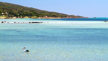 Plage à proximité