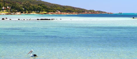 Vlak bij het strand