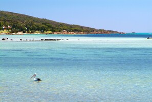 Playa en los alrededores 