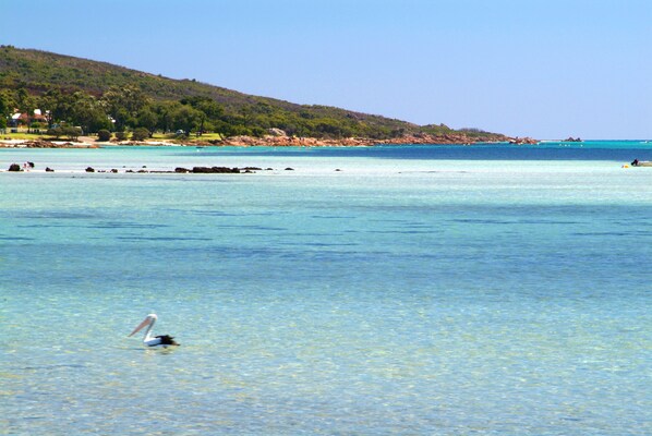 Una playa cerca