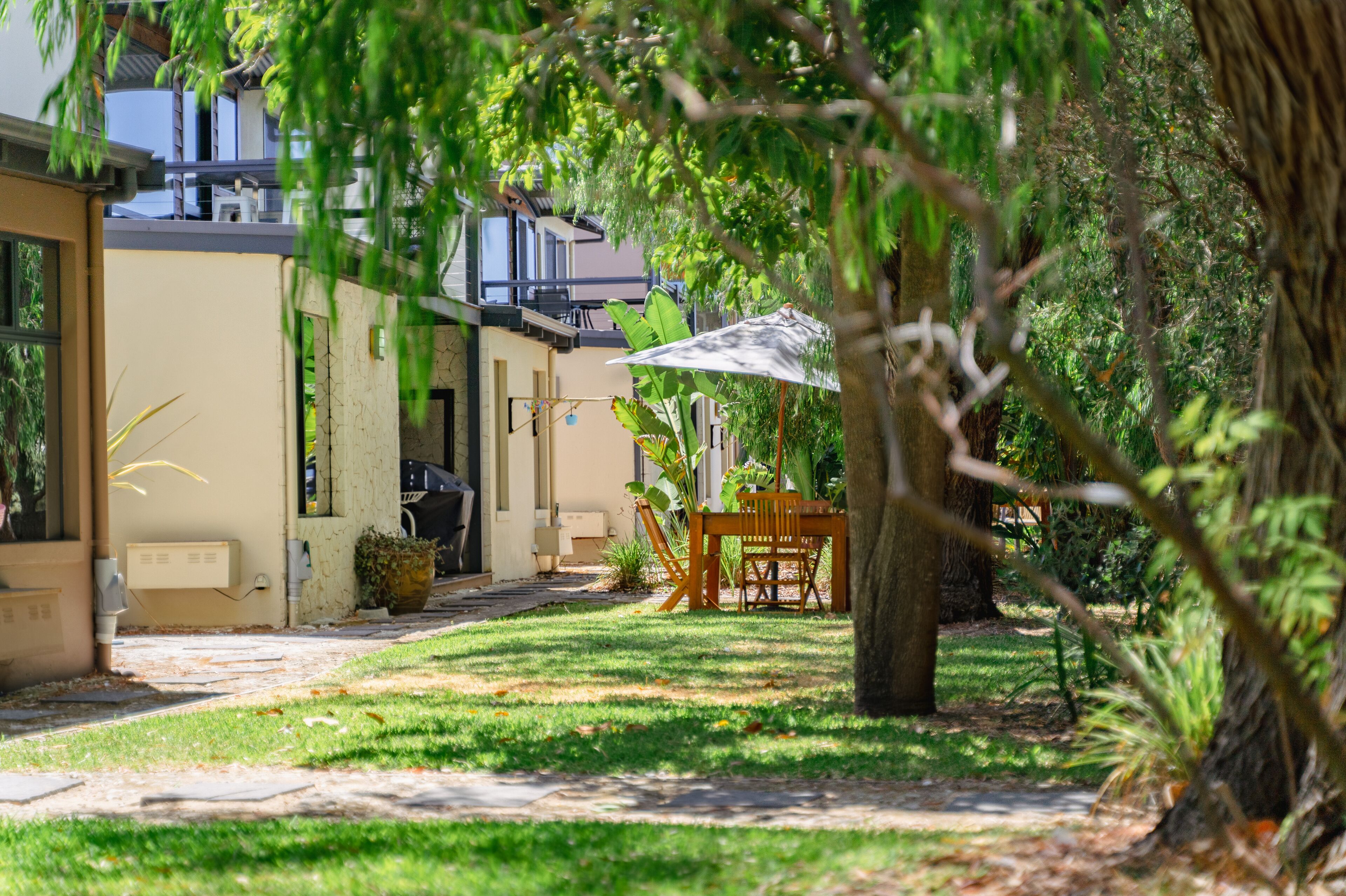 A courtyard with a dining table and chairs under a tree, surrounded by greenery and a building with a beige exterior.