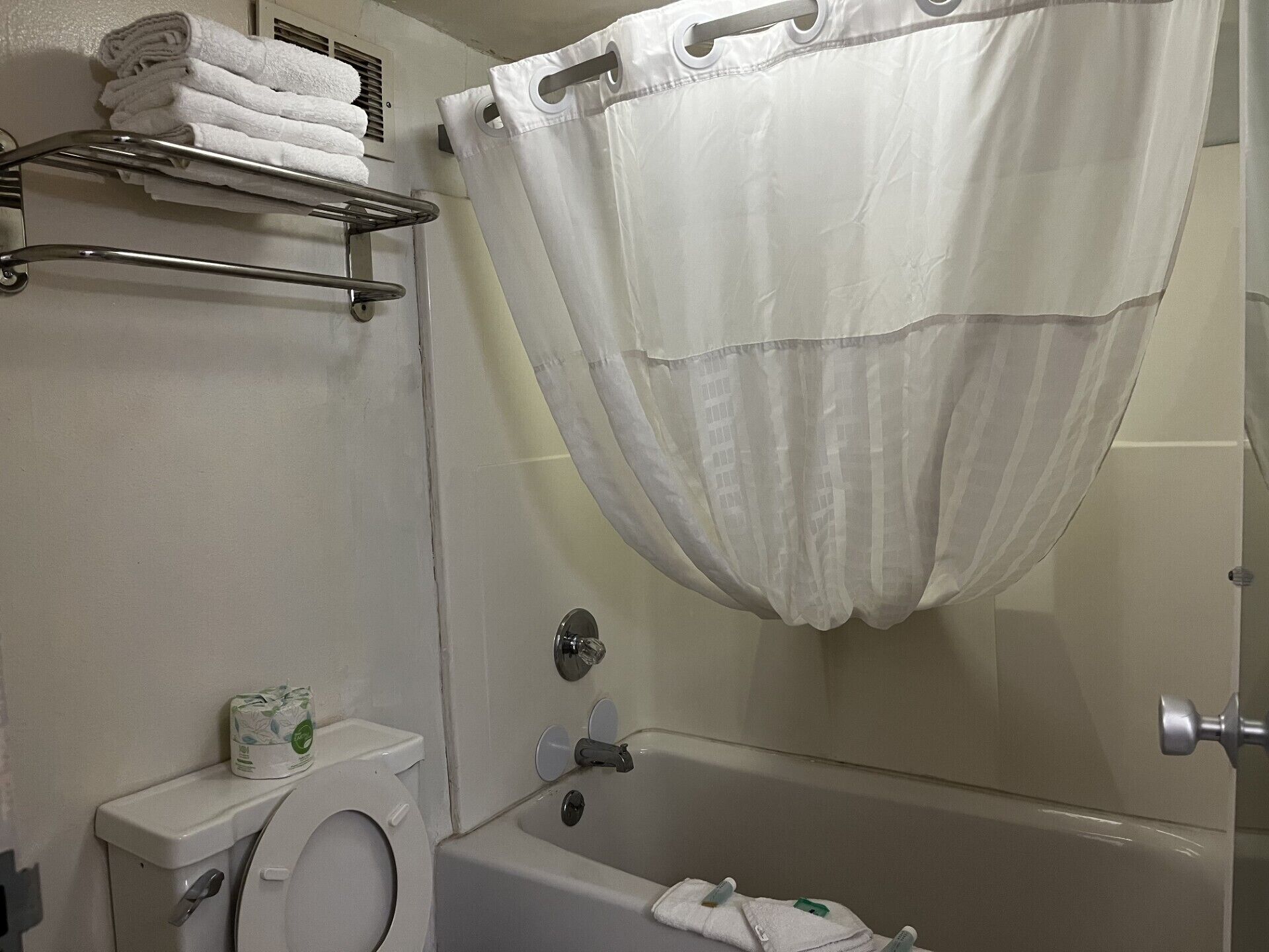 A bathroom with a toilet, a bathtub, and a shower curtain.