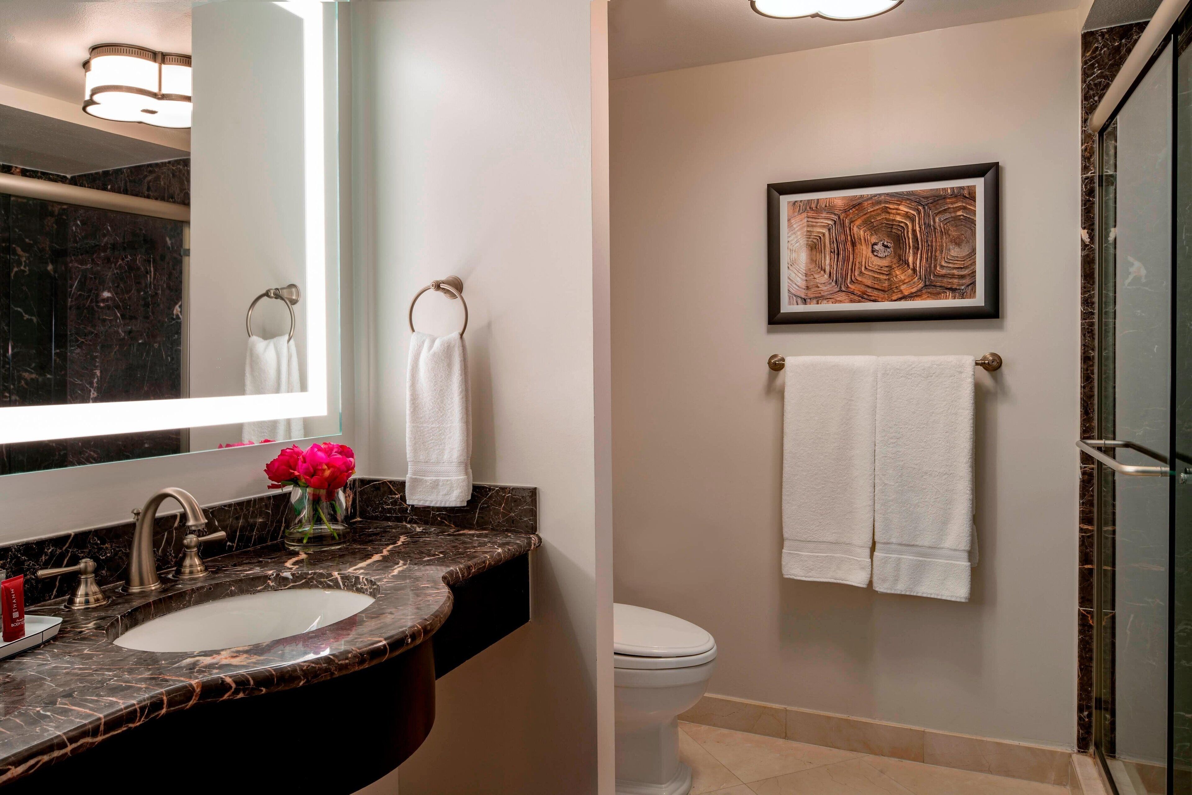 A bathroom with a marble sink, a toilet, and a shower area.
