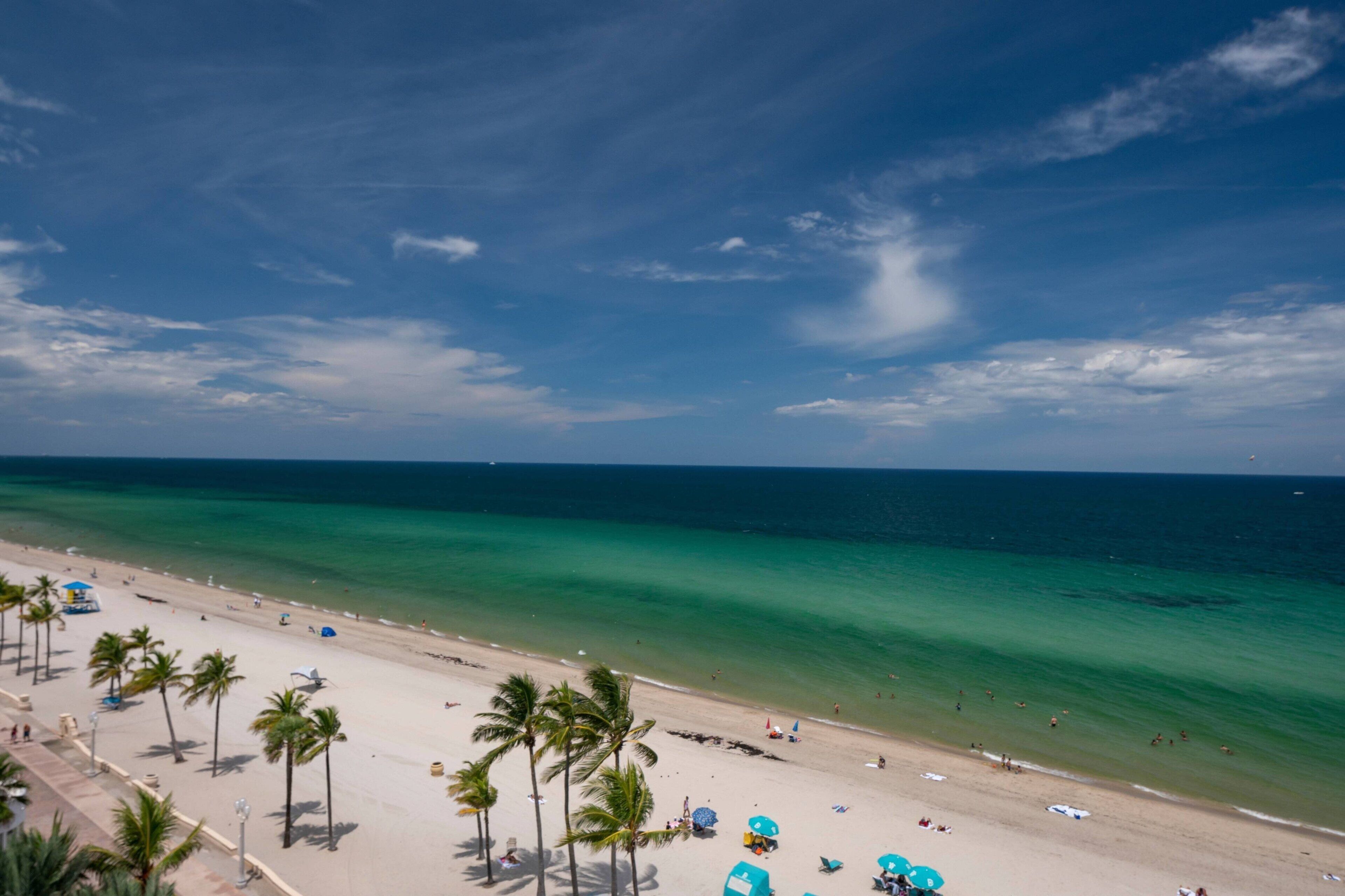 A beach with palm trees, a sandy shore, and the ocean.