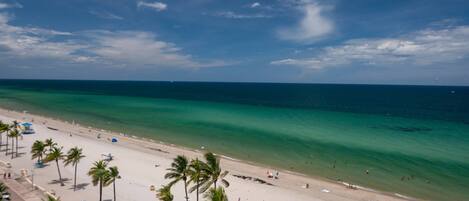 A beach with palm trees, a sandy shore, and the ocean.