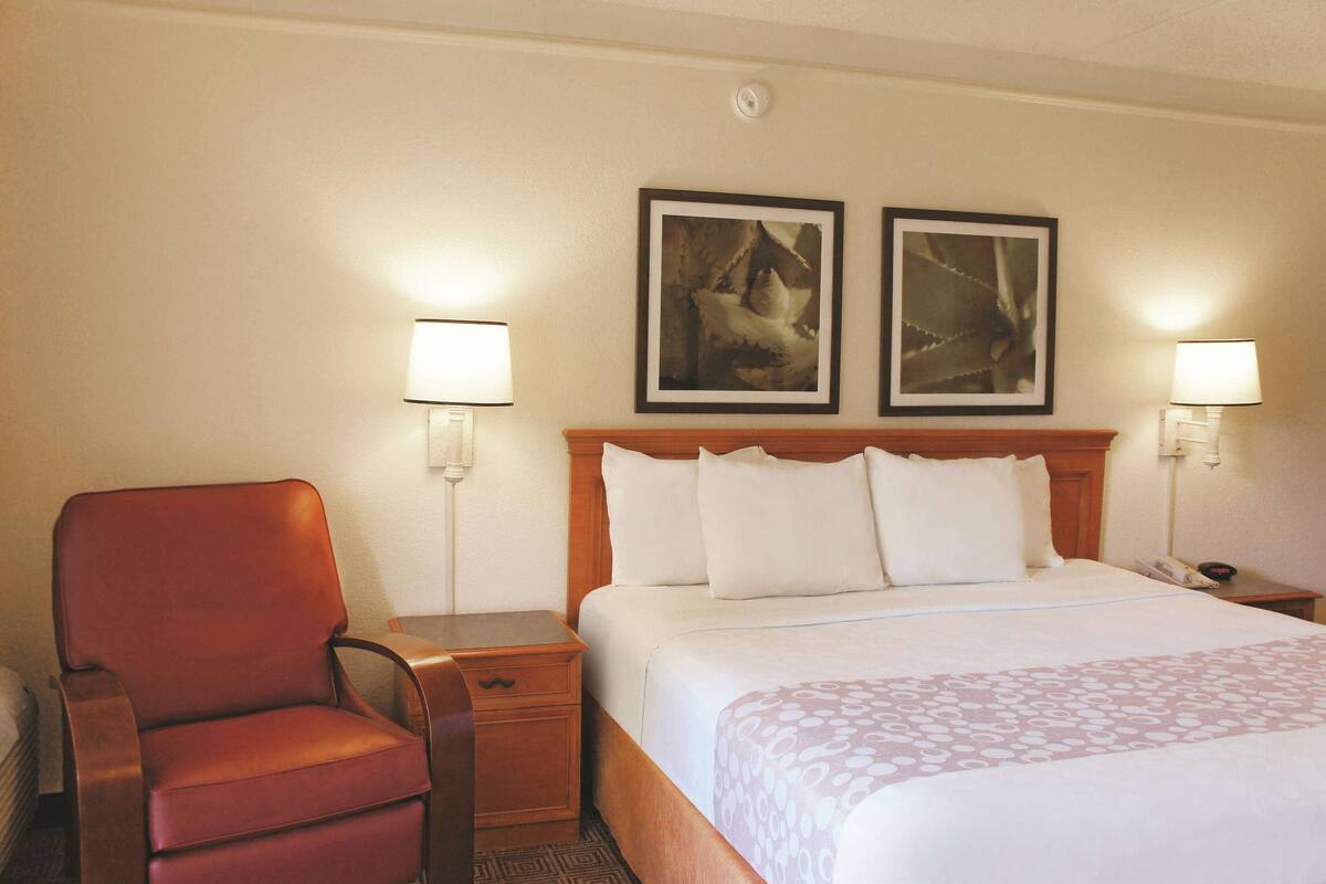 Room, 1 King Bed, Non Smoking | Premium bedding, pillowtop beds, desk, blackout drapes