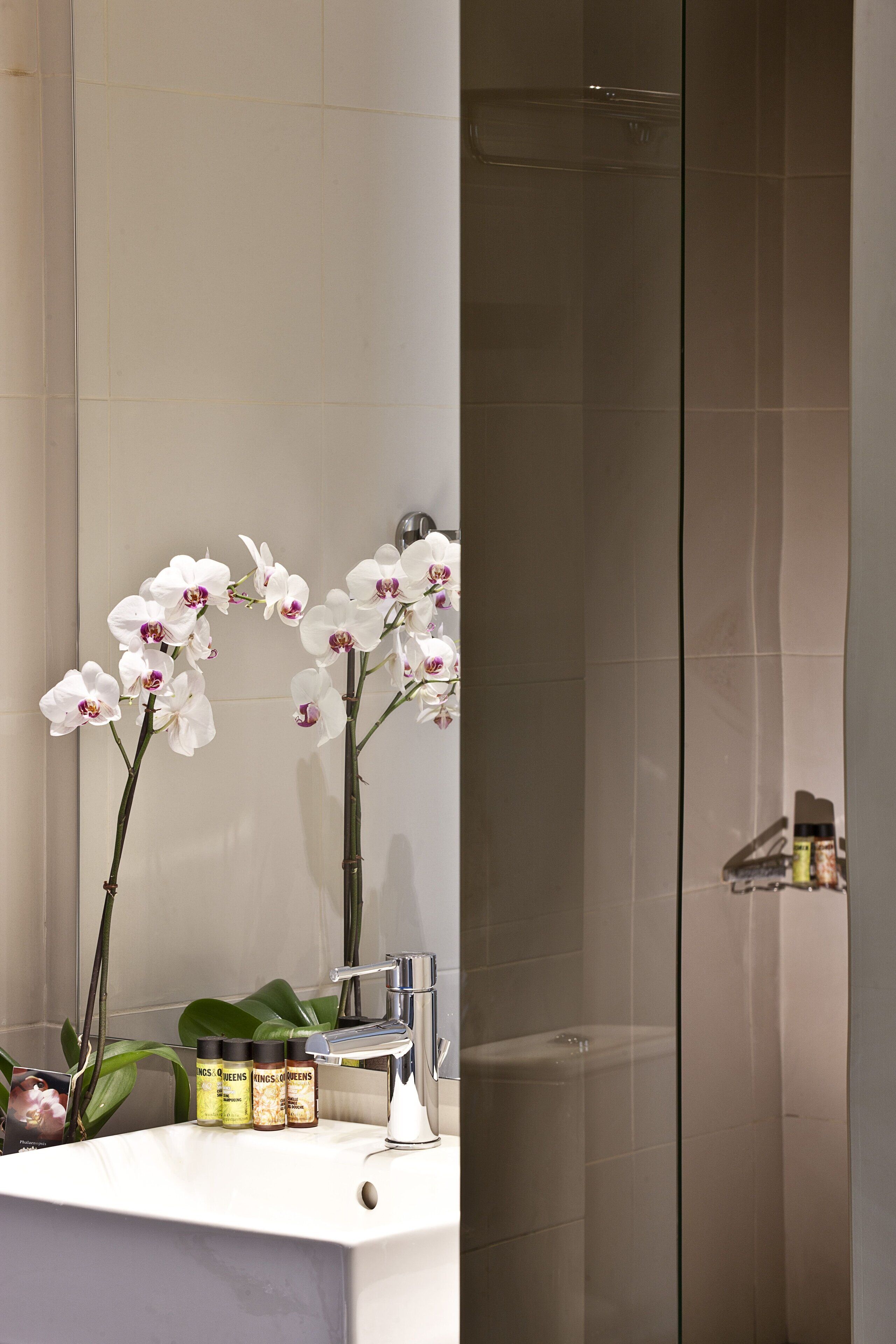 premium bedding, in-room safe, desk, laptop workspace