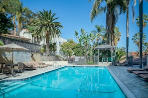 Outdoor pool, sun loungers