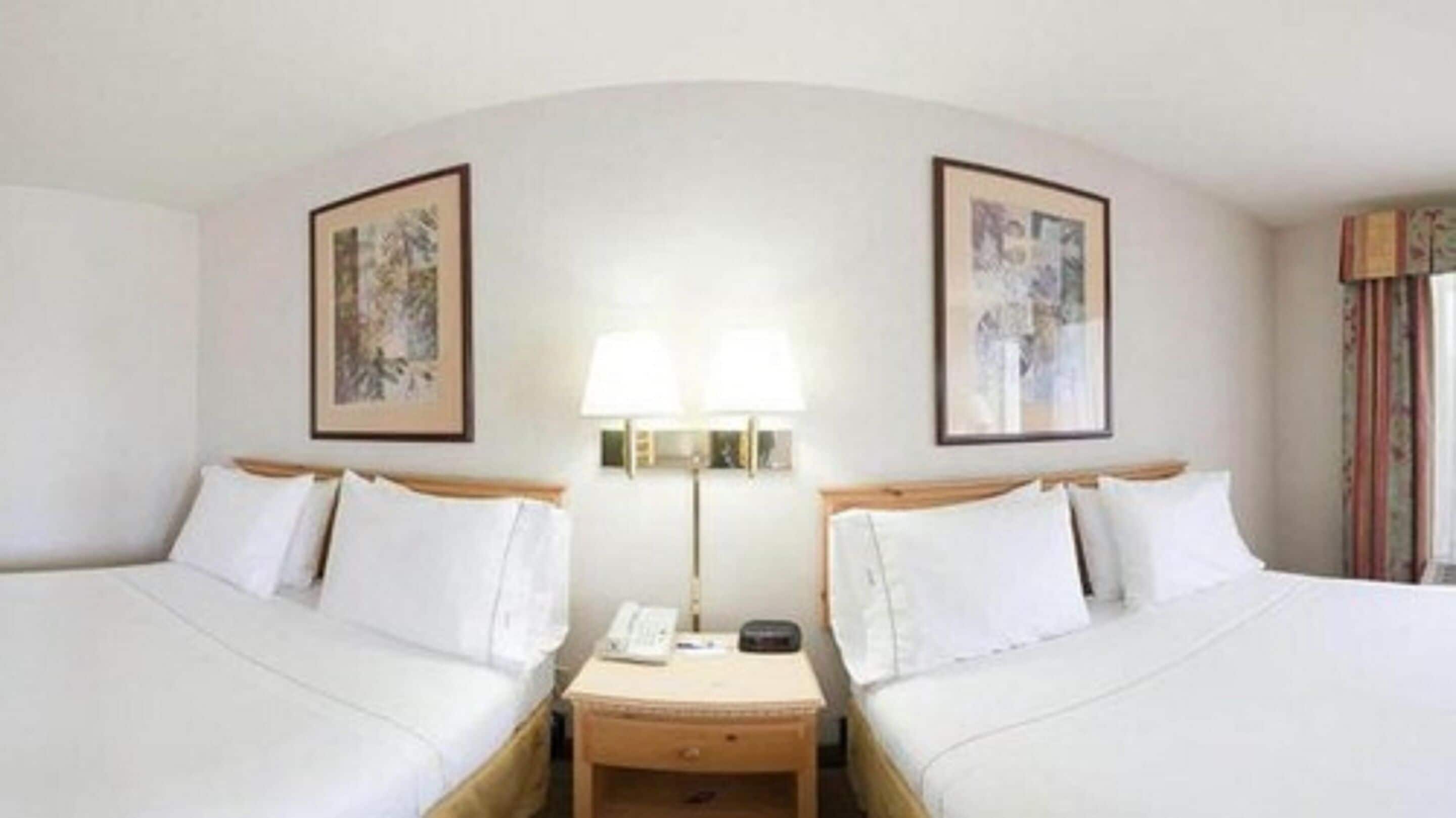 standard room, 2 queen beds | 1 bedroom, desk, iron/ironing board, free cots/infant beds