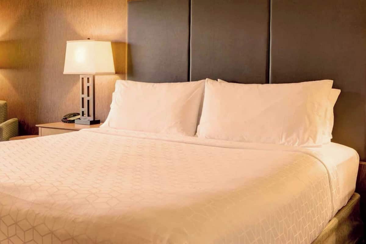 A hotel room with a large bed, a bedside lamp, and a telephone on the nightstand.