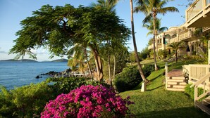 Un hôtel situé sur la côte, offrant une vue sur la mer, des palmiers et un grand arbuste aux fleurs roses.