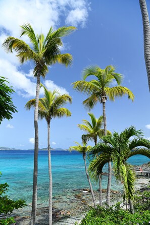 Exterior - Gallows Point Resort (St. John)