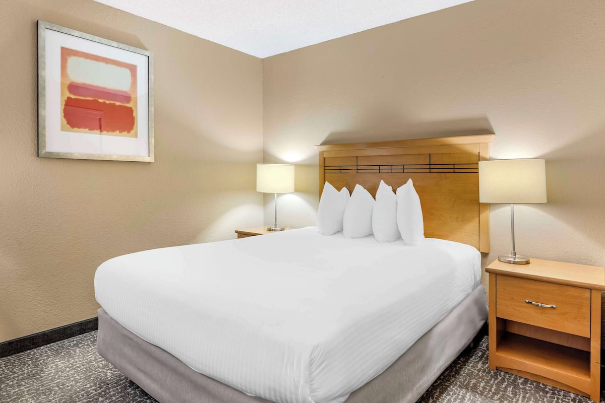 Suite, 1 Queen Bed, Non Smoking | Premium bedding, individually decorated, individually furnished