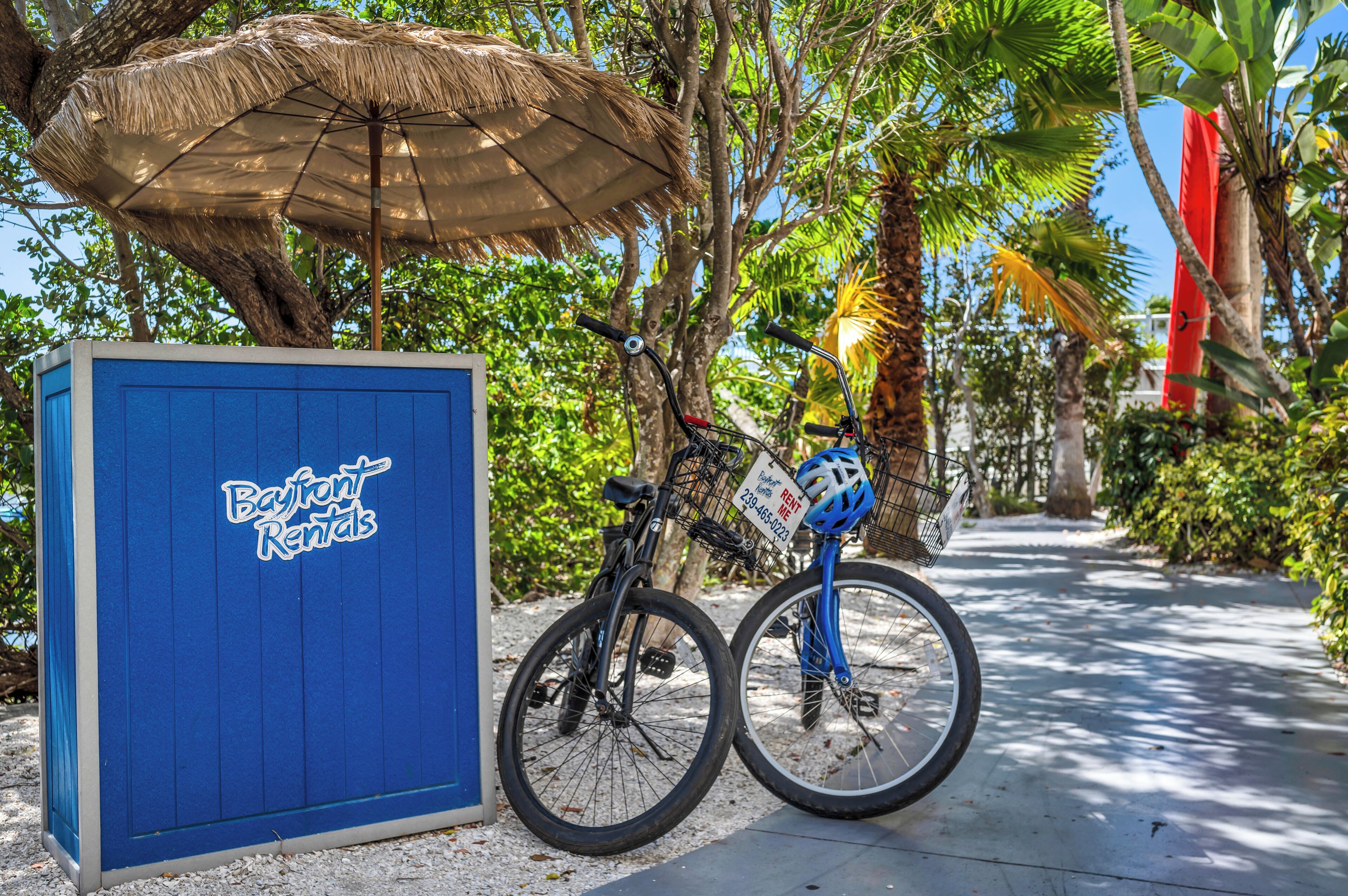 A blue rental box labeled 'Bayfront Rentals' with a bicycle and a helmet nearby.