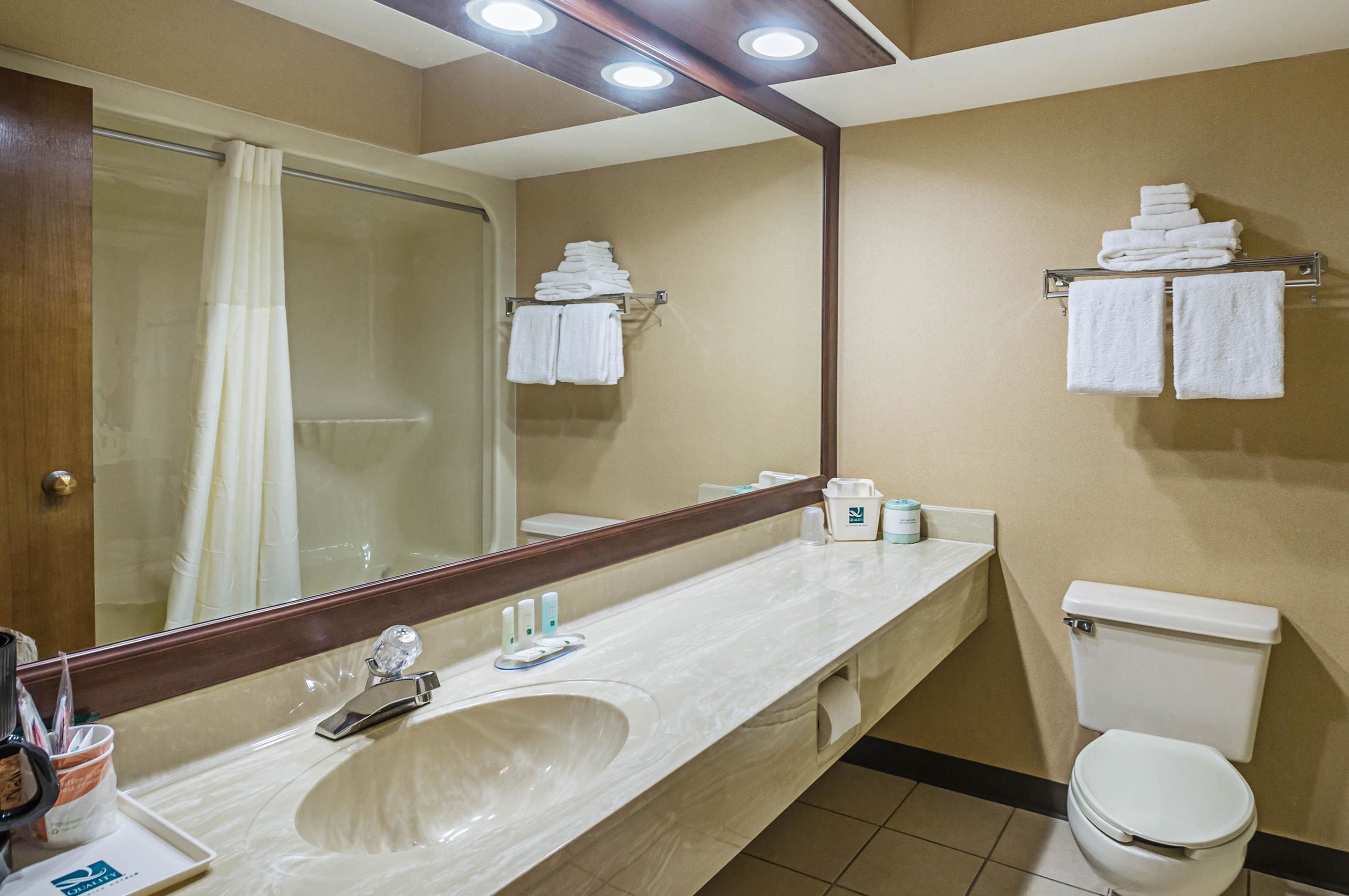 Een badkamer met een grote spiegel, een wastafel, een toilet en handdoeken op een rek.