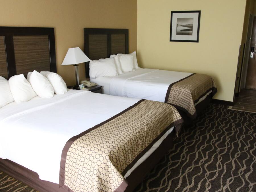Quarto de hotel com duas camas, uma mesa de cabeceira com abajur, um quadro na parede e um tapete estampado.