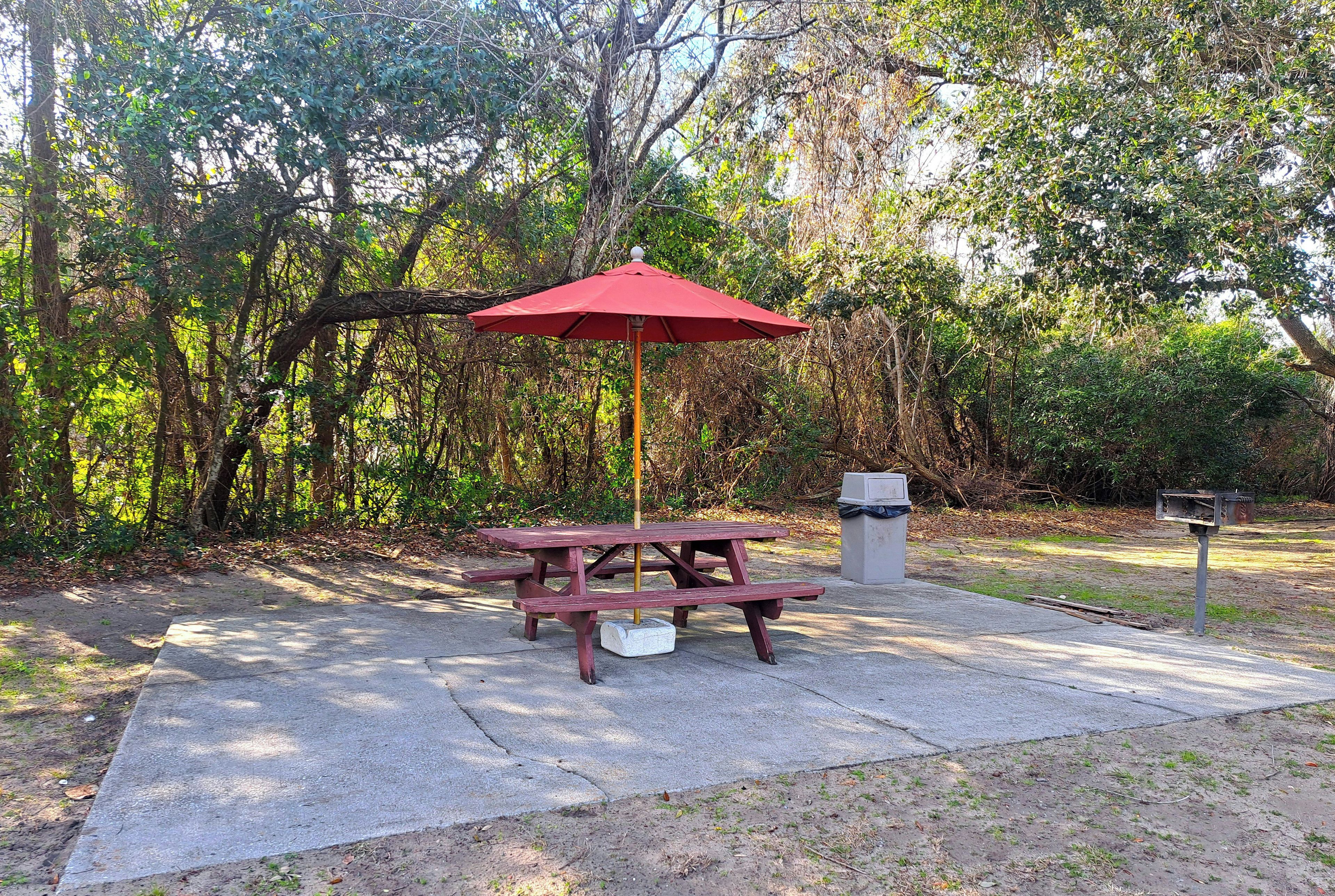 BBQ/picnic area