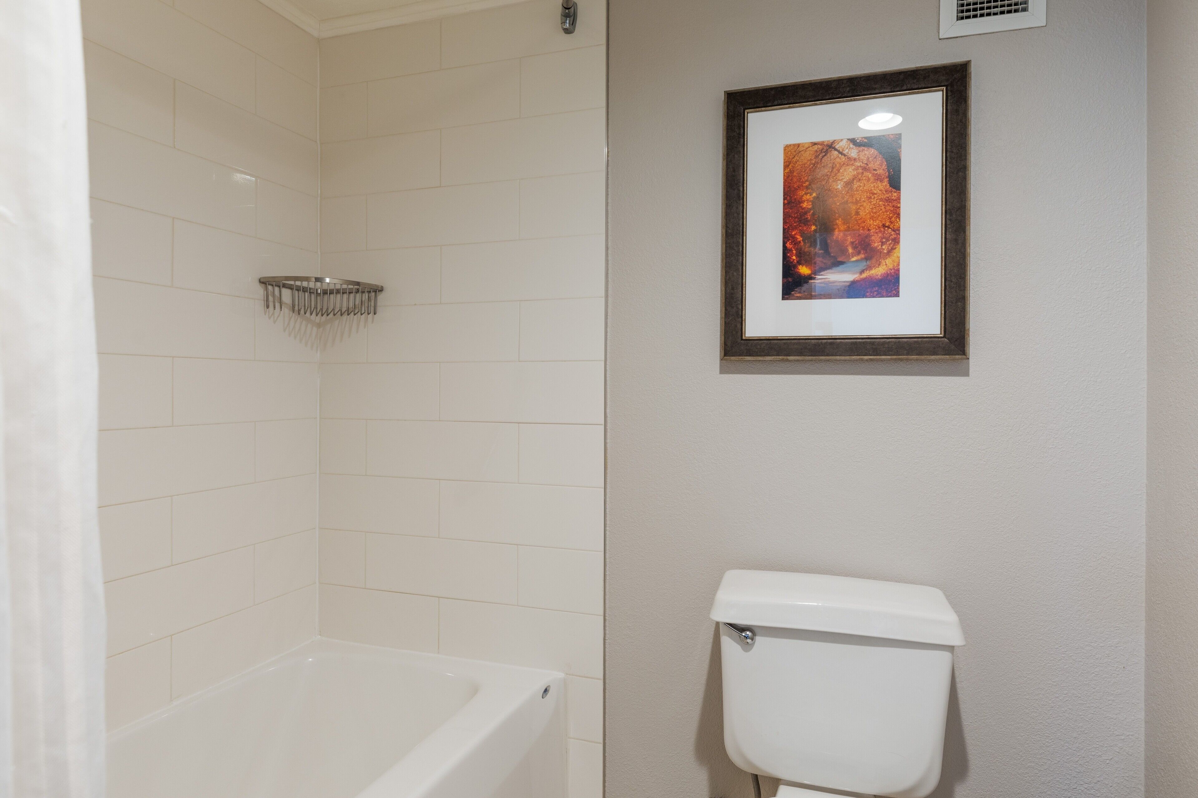 A bathroom with a bathtub, toilet, and a framed picture on the wall.