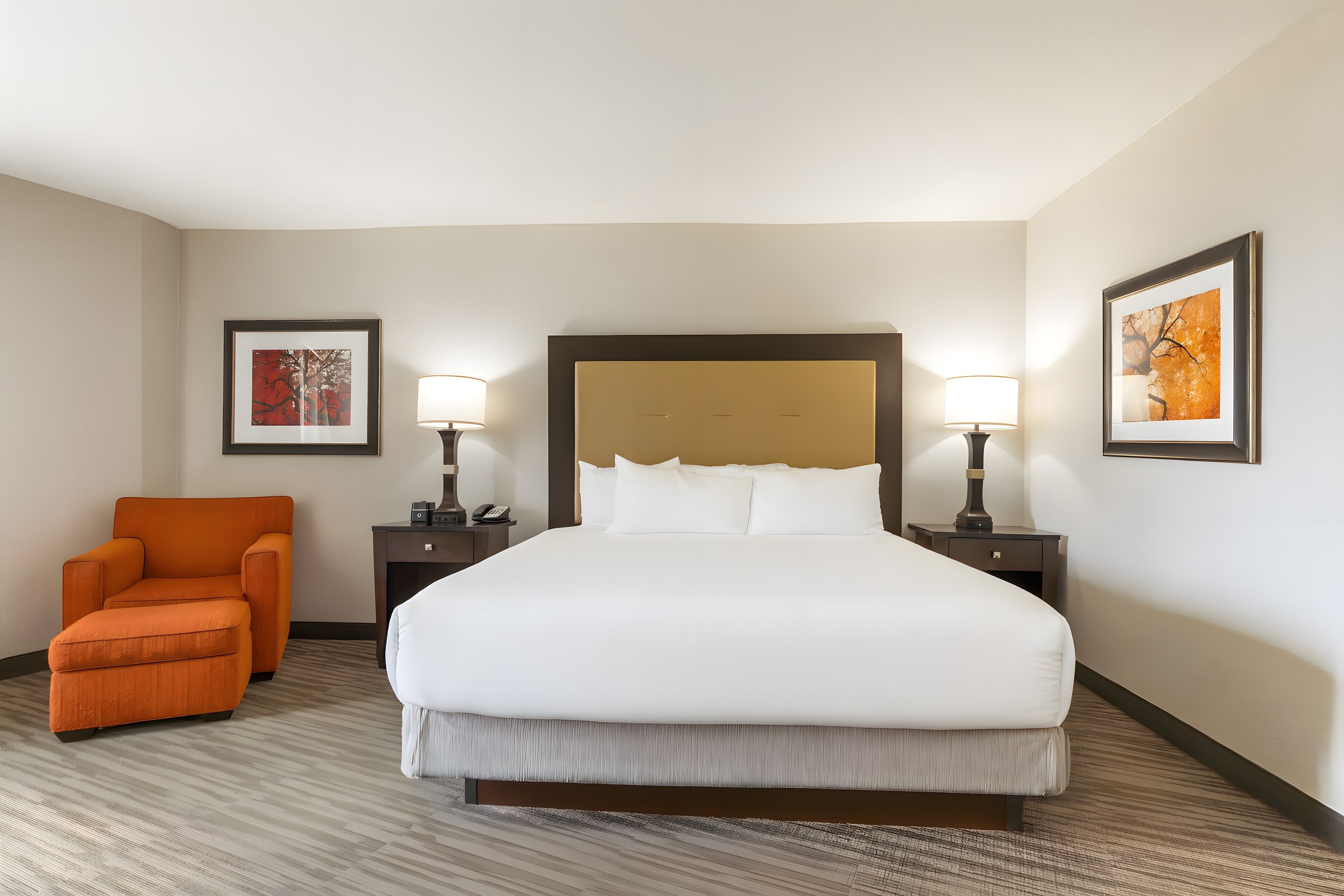 Premium King | In-room safe, individually decorated, individually furnished, desk