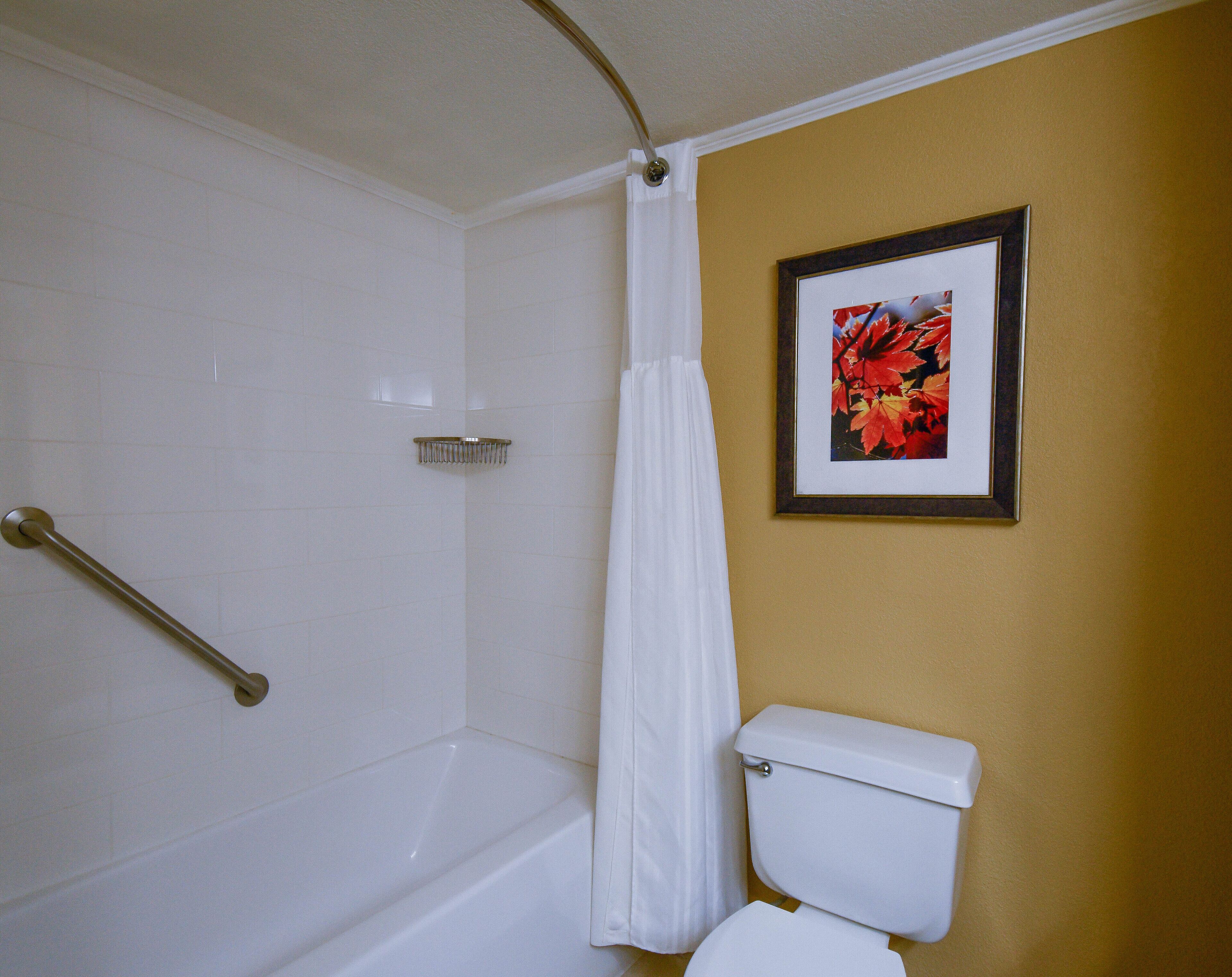 combined shower/bathtub, designer toiletries, hair dryer, towels