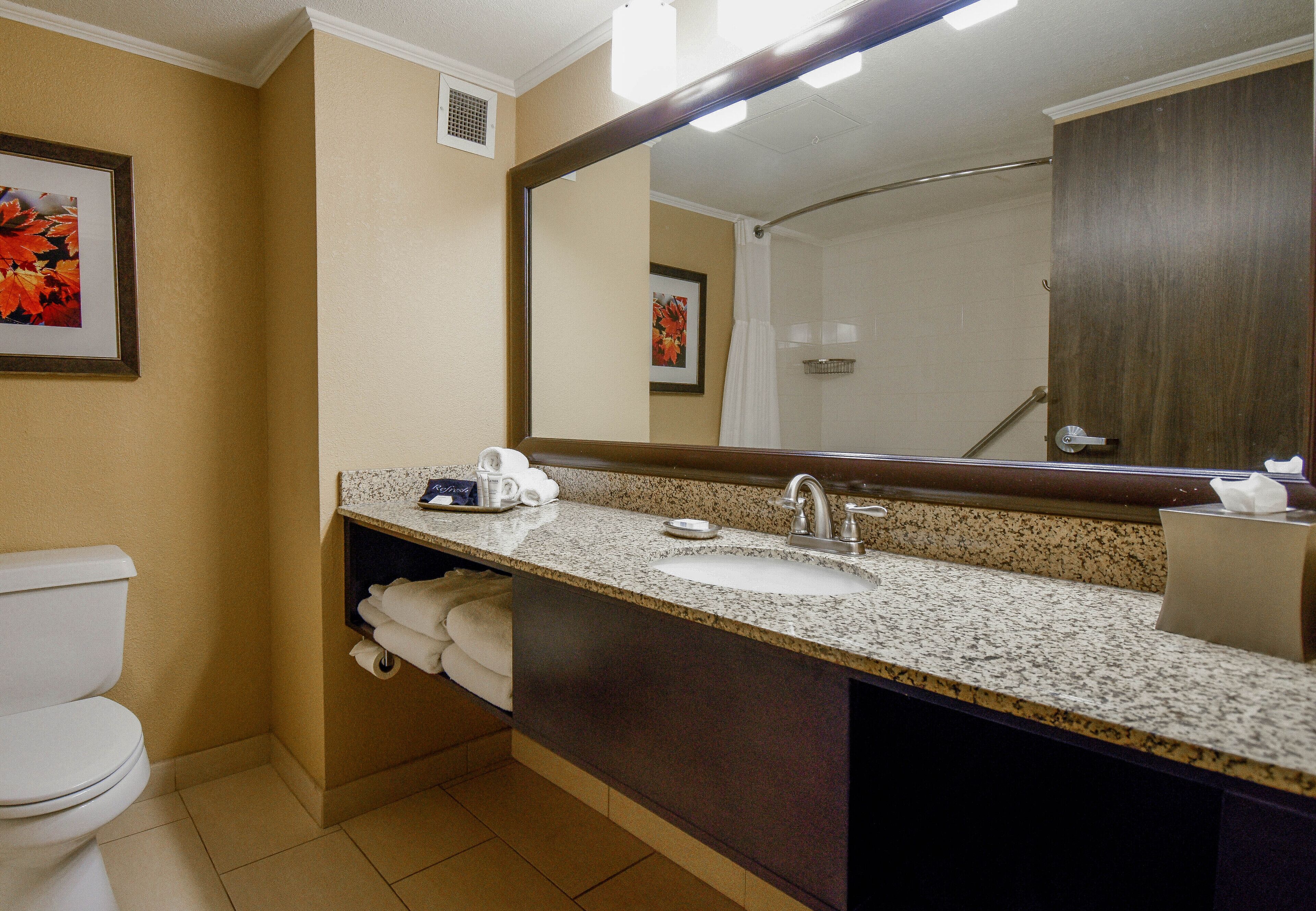 combined shower/bathtub, designer toiletries, hair dryer, towels