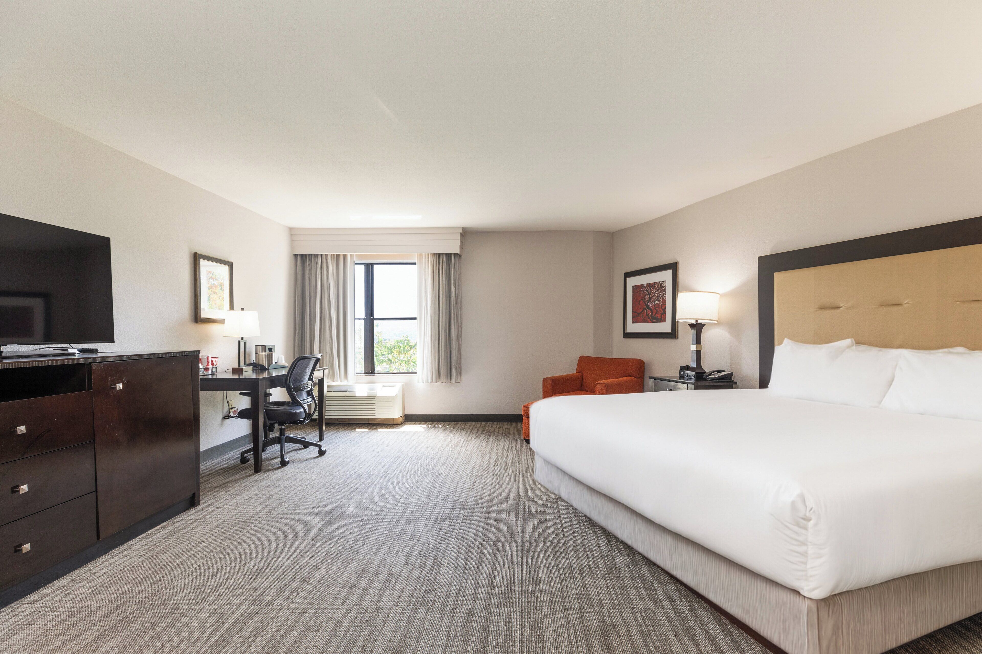 Premium King | In-room safe, individually decorated, individually furnished, desk