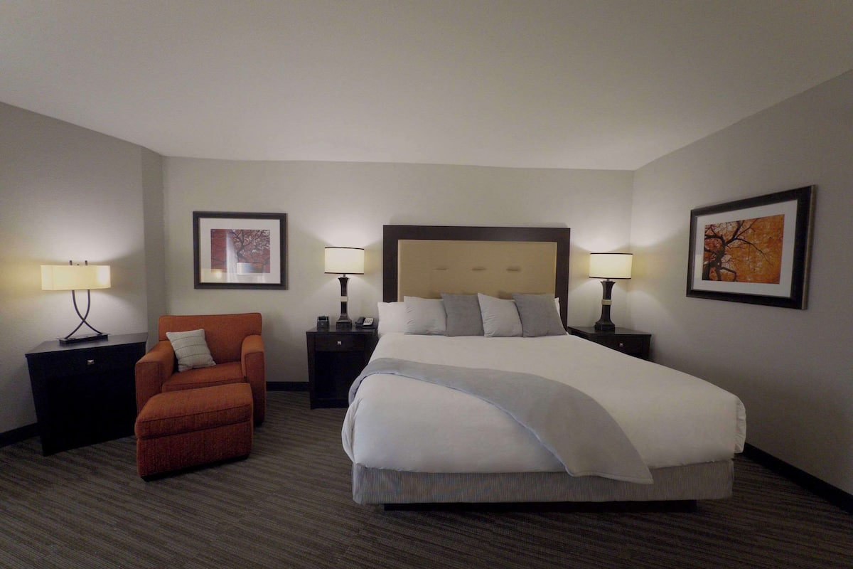 Room, 1 King Bed, Accessible, Non Smoking | In-room safe, individually decorated, individually furnished, desk