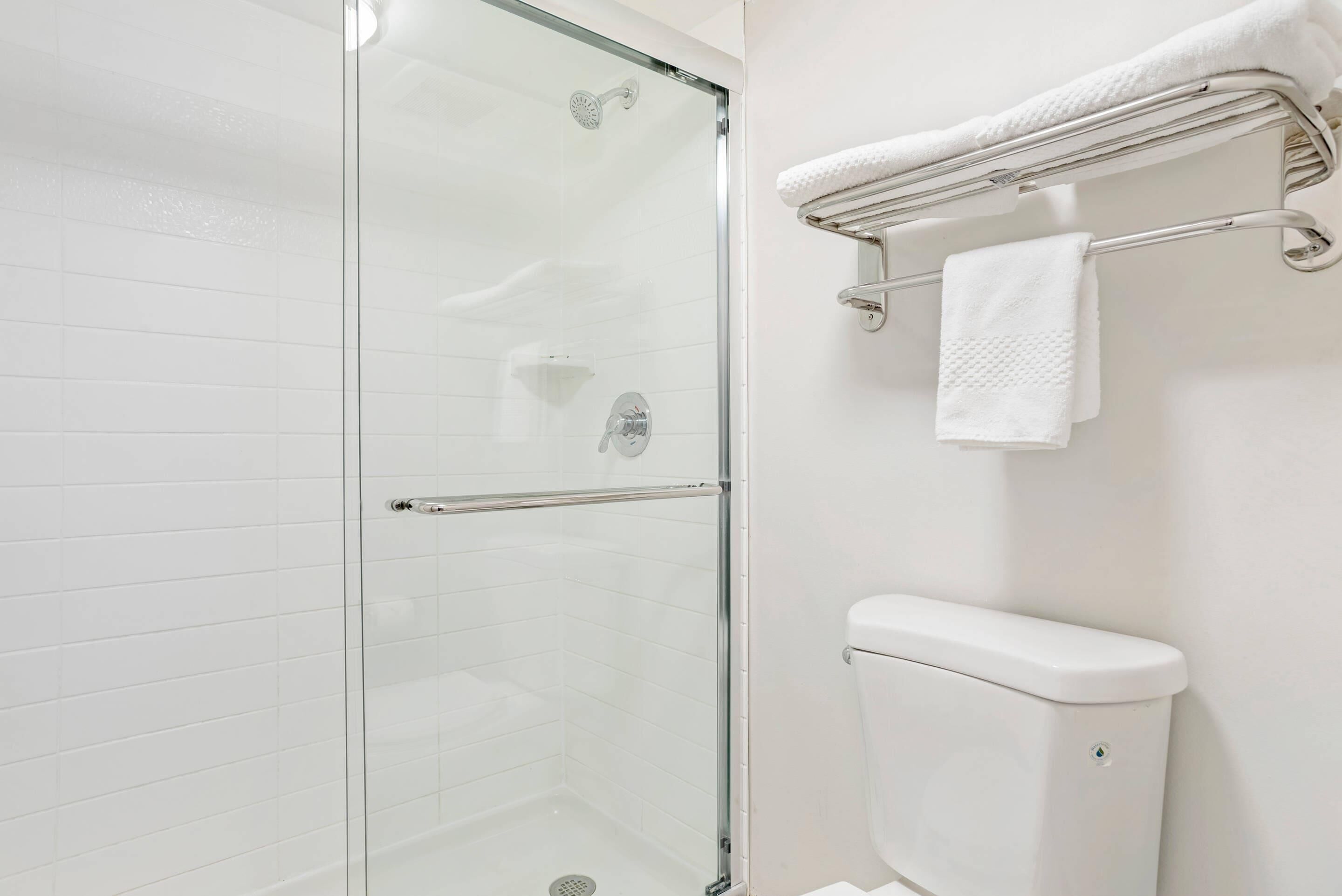 A bathroom with a glass-enclosed shower, a white toilet, and a towel rack with two towels.