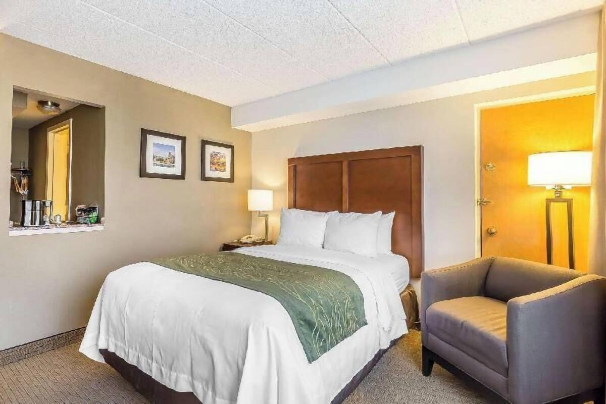 A hotel room with a bed, a chair, a nightstand, a lamp, and framed pictures on the wall.