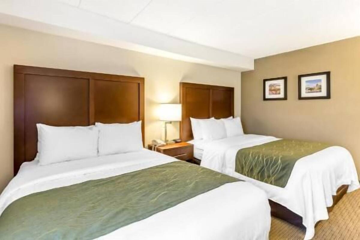 A hotel room with two beds, a nightstand, a lamp, and two framed pictures on the wall.
