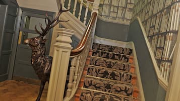 A staircase with patterned carpet and a deer head sculpture.