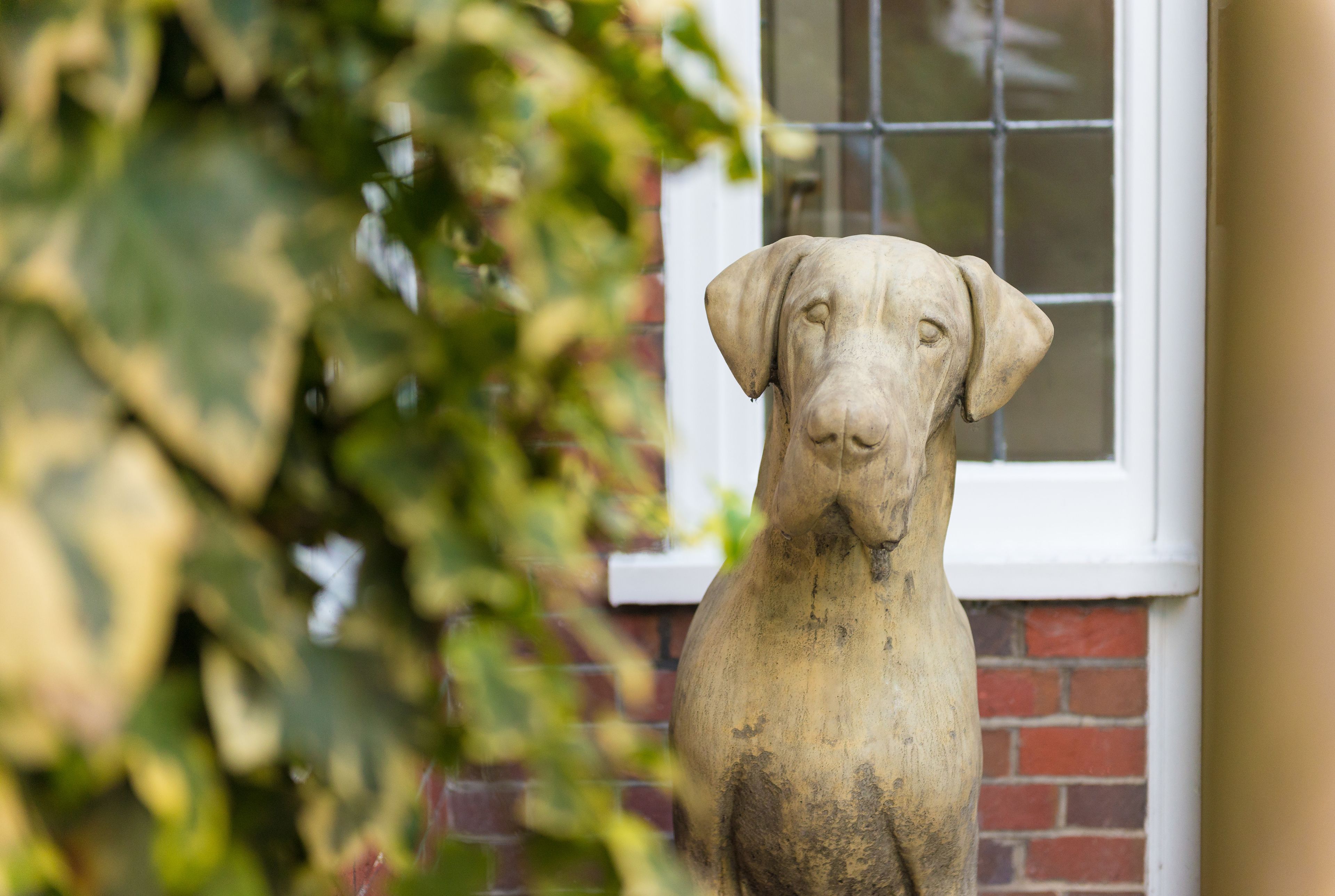 Photo - The Crown Manor House Hotel