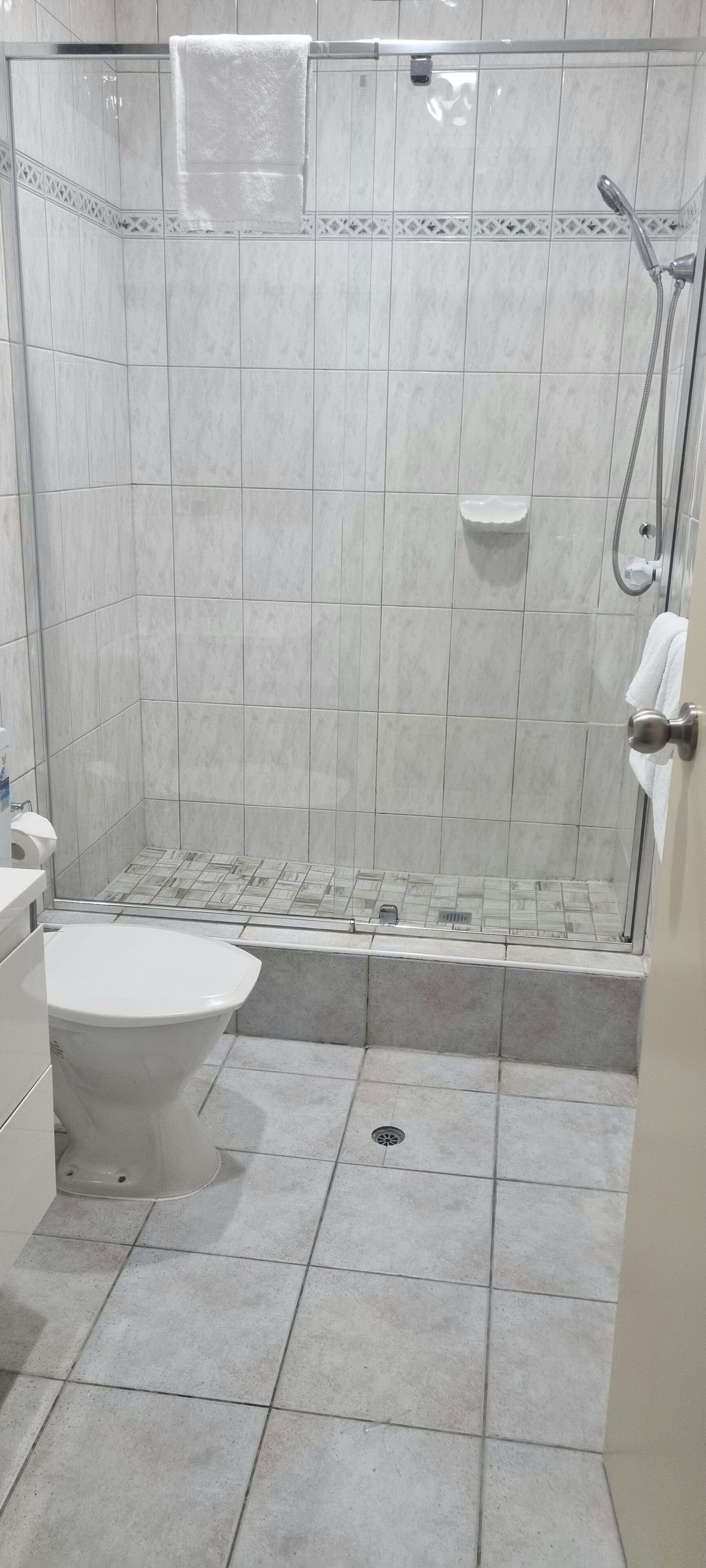 Une salle de bain avec douche, toilettes et lavabo.