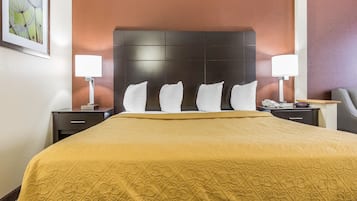 Standard Room, 1 King Bed, Non Smoking | Blackout drapes, iron/ironing board, rollaway beds, free WiFi