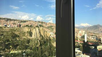 Departamento, 1 habitación | Vista desde la habitación