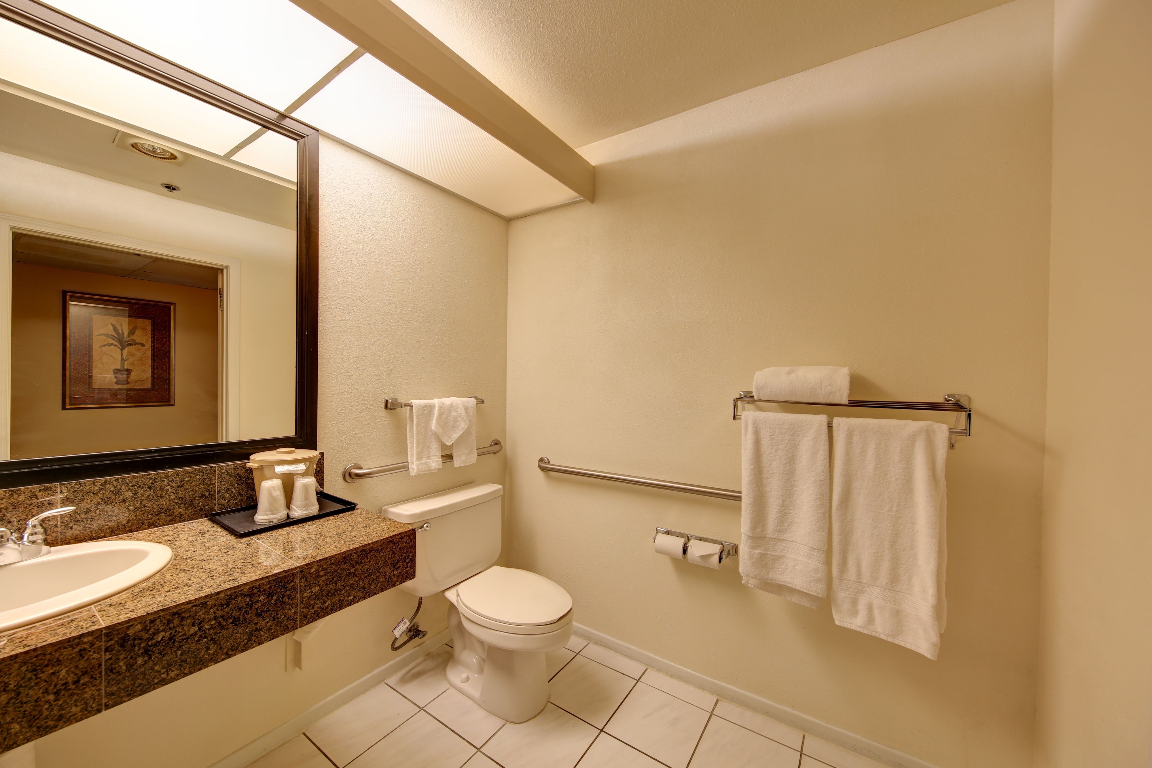 A bathroom with a sink, toilet, and handrail.