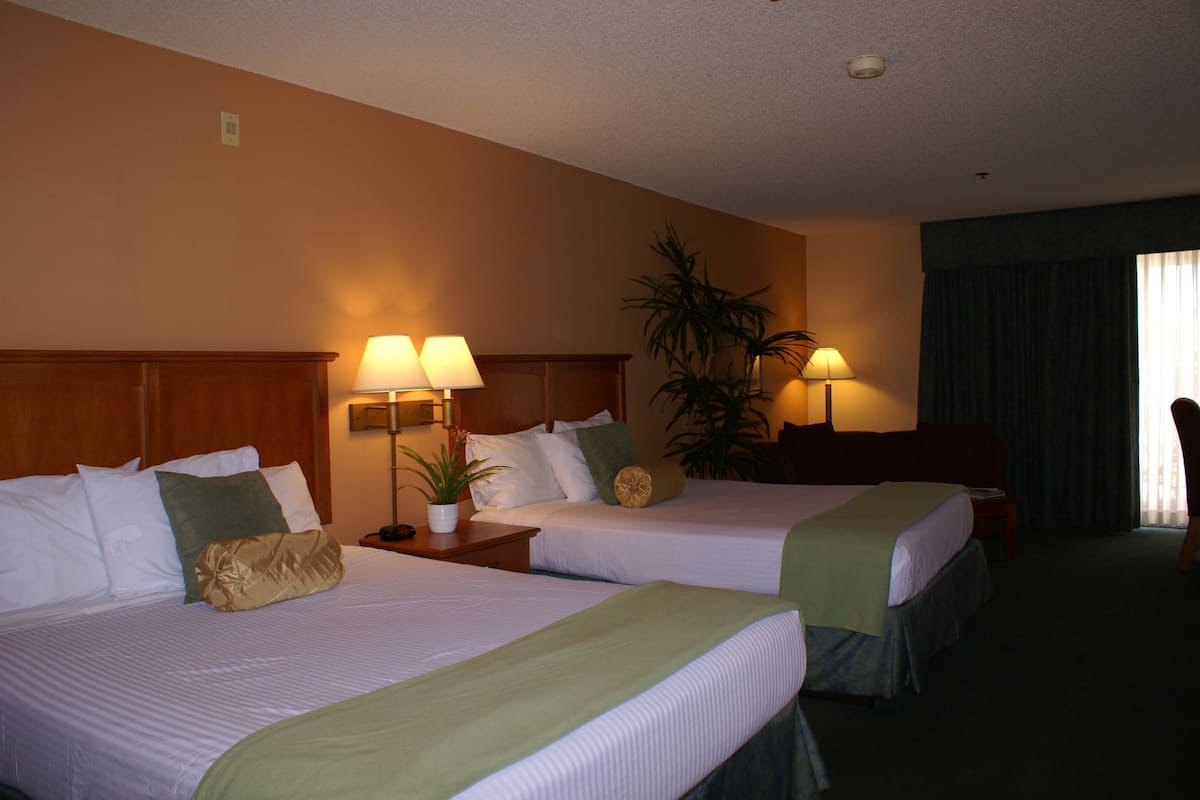 Une chambre d’hôtel avec deux lits, une tête de lit en bois, une table de chevet avec une lampe, une plante en pot et une grande fenêtre avec des rideaux.