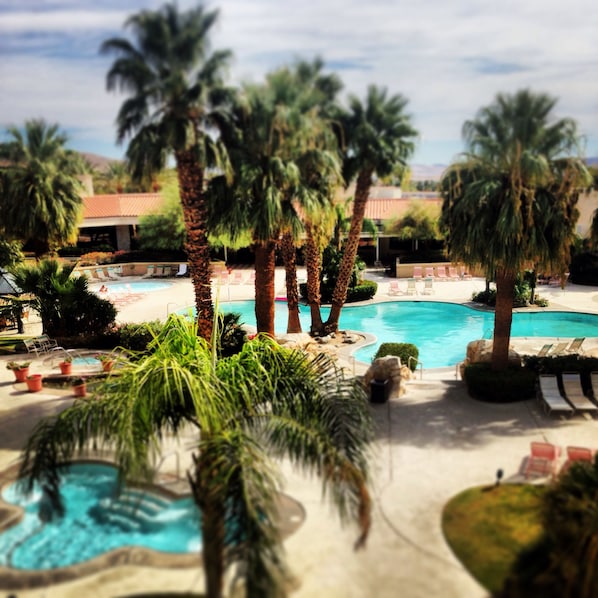 Outdoor pool, sun loungers