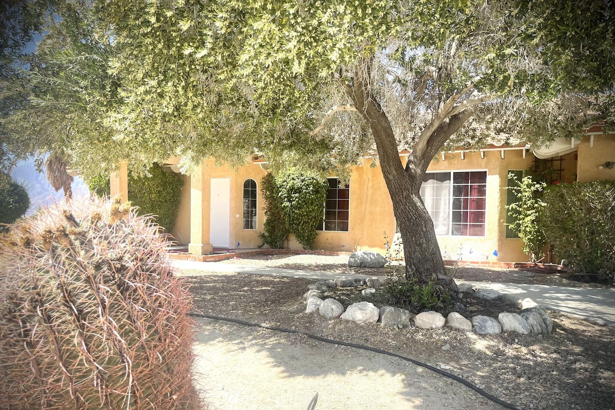 Un bâtiment de style désertique, avec une façade en stuc, des fenêtres en arc de cercle et un cactus au premier plan.