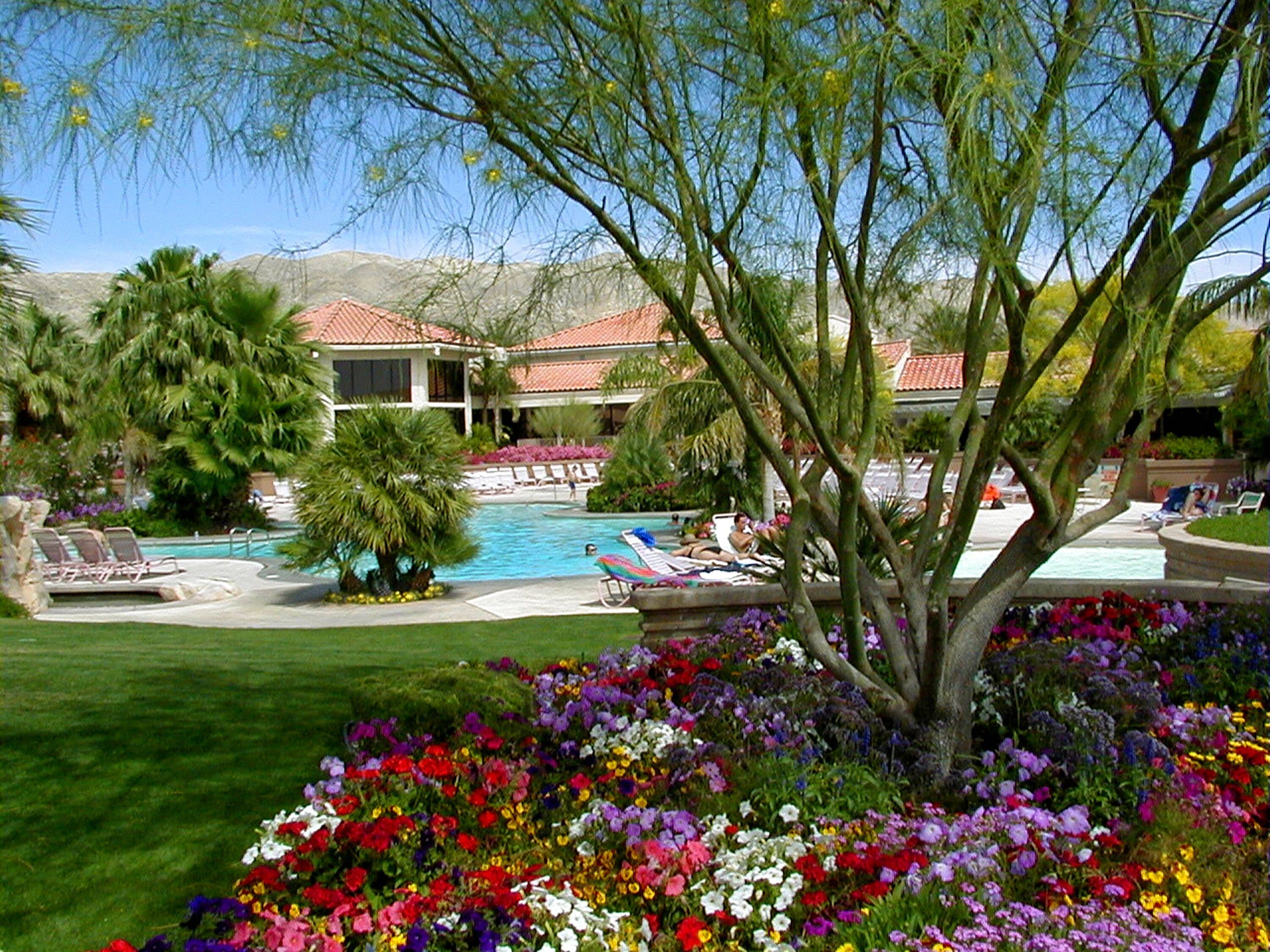 Un espace piscine comprenant des chaises longues, une piscine et un jardin aménagé avec différentes variétés de fleurs.