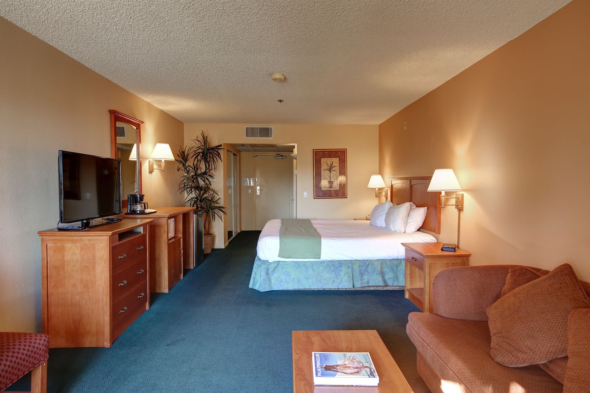Une chambre d’hôtel comprenant un lit, une télévision, un bureau, un canapé et une table basse.