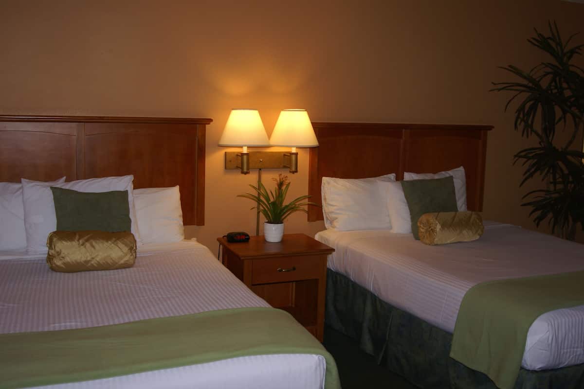 Une chambre d’hôtel avec deux lits, chacun recouvert d’une couverture verte, agrémenté d’oreillers blancs et doté d’une tête de lit en bois. Une table de chevet avec une lampe et une plante en pot se trouve entre les deux lits.