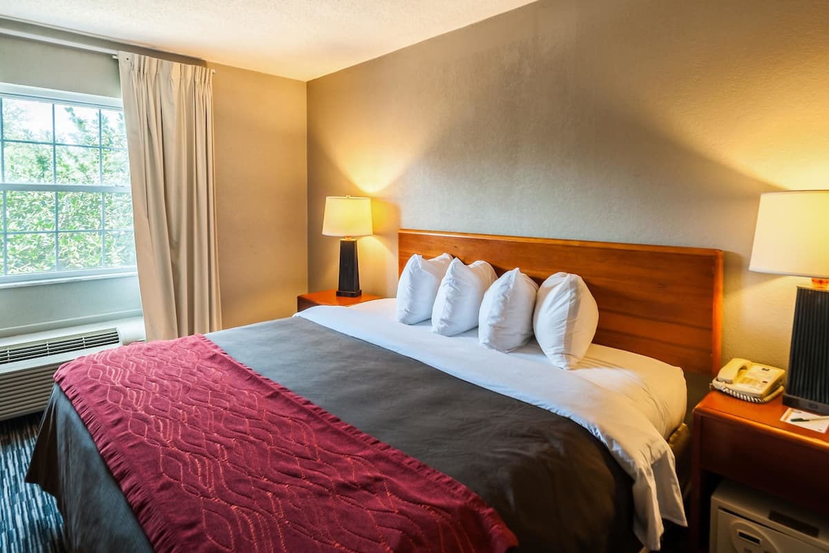 A hotel room with a bed, two bedside lamps, a telephone, and a window with curtains.