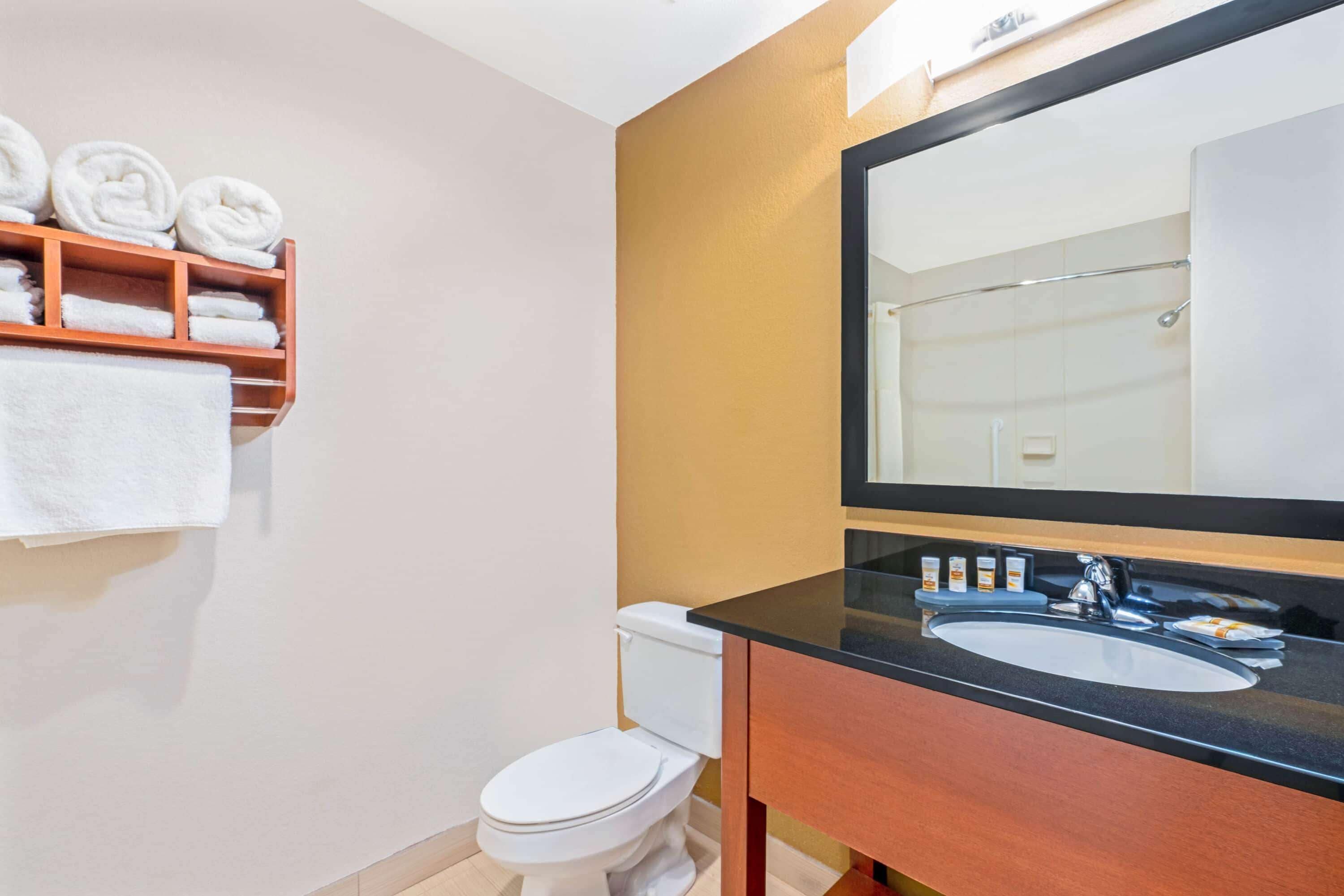 combined shower/bathtub, free toiletries, hair dryer, towels