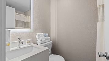A bathroom with a white sink, a toilet, and a mirror.