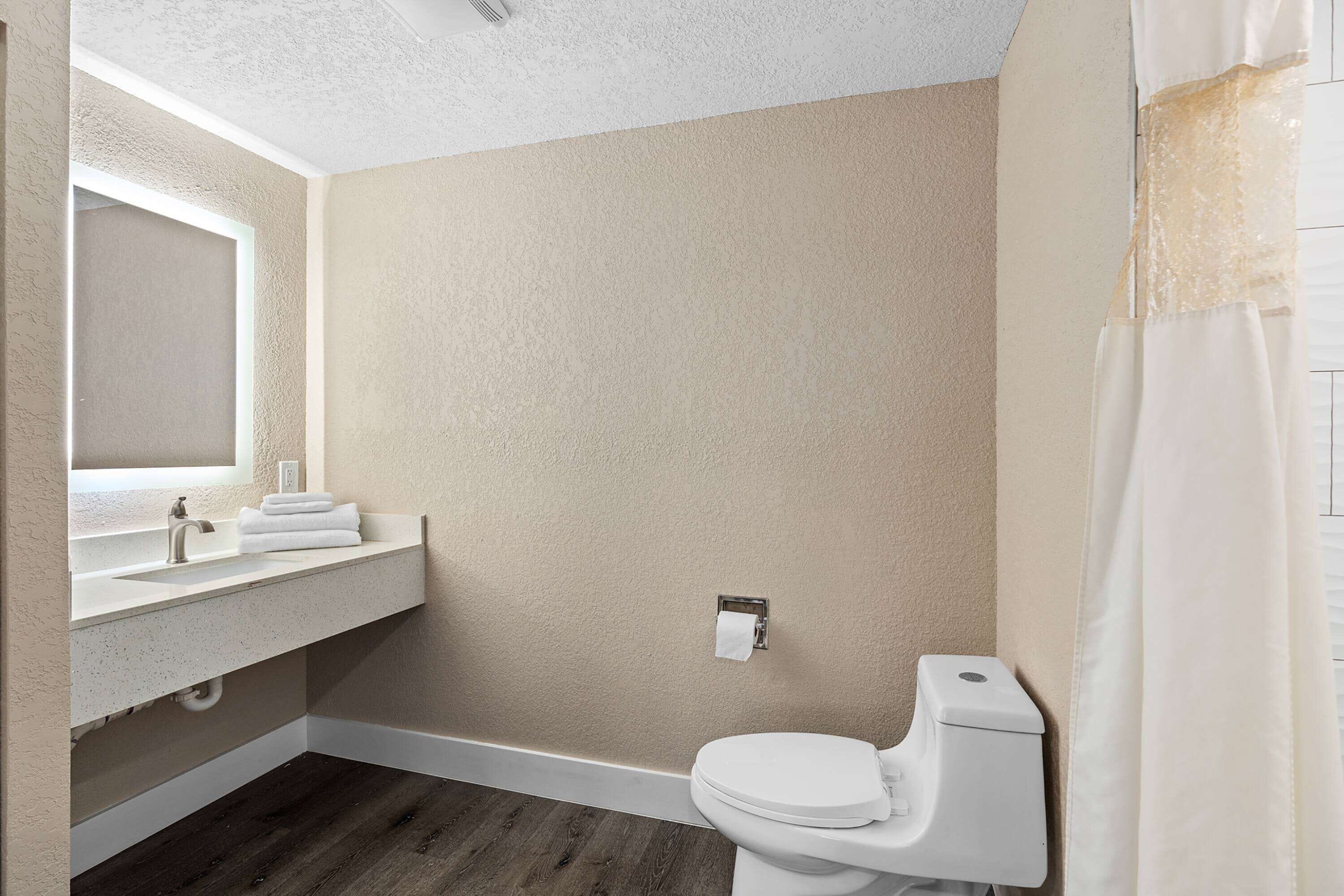 Un bagno con un lavandino bianco, un WC e una tenda da doccia.