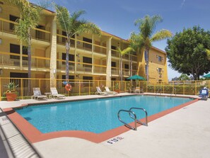 Outdoor pool, sun loungers