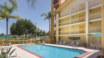 Outdoor pool, pool loungers